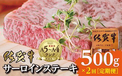 【定期便 ２回配送】佐賀牛のさらりとした脂の甘さと赤身の旨み サーロインステーキ 250g × 2枚 を2回 【 佐賀牛 サーロイン ステーキ 】（２５０ｇ×２枚を２か月連続）_k-17
