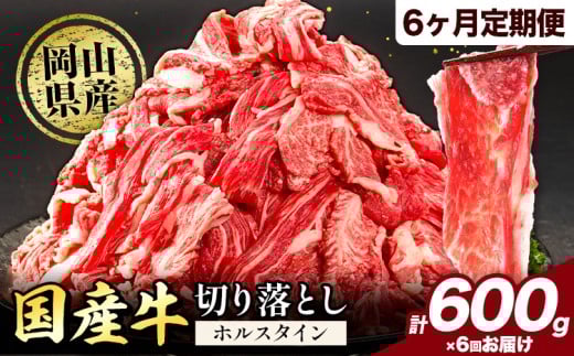 【6ヶ月定期便】牛肉 肉 国産牛 切り落とし ホルスタイン 大容量 小分け 600g(300g×2) 《お申込み月の翌月から出荷開始》岡山県産 岡山県 矢掛市 お肉 にく カレー 牛丼 牛肉 切り落し 小分け 切落し 牛肉 小分け 牛肉