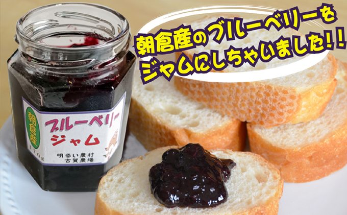 ブルーベリージャム 170g×4個 ヨーグルト 美味しい お通じ 