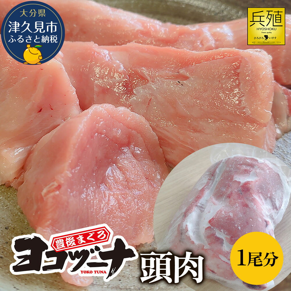 【ふるさと納税】豊後まぐろ ヨコヅーナ 頭肉 1尾分 (4切) 鮪 マグロ すじ肉 希少部位 ツナ ステーキ 天ぷら BBQ 塩焼き 煮つけ 冷凍 漬け丼 大分県産 九州産 津久見市 国産 送料無料