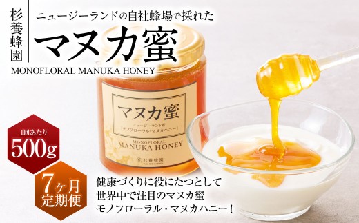 【7ヶ月定期便】ニュージーランド産 マヌカ蜜 約500g×7ヶ月 ／ 計約3.5kg マヌカハニー マヌカ モノフローラル・マヌカハニー 蜂蜜 はちみつ ハチミツ 健康食品 定期便 杉養蜂園