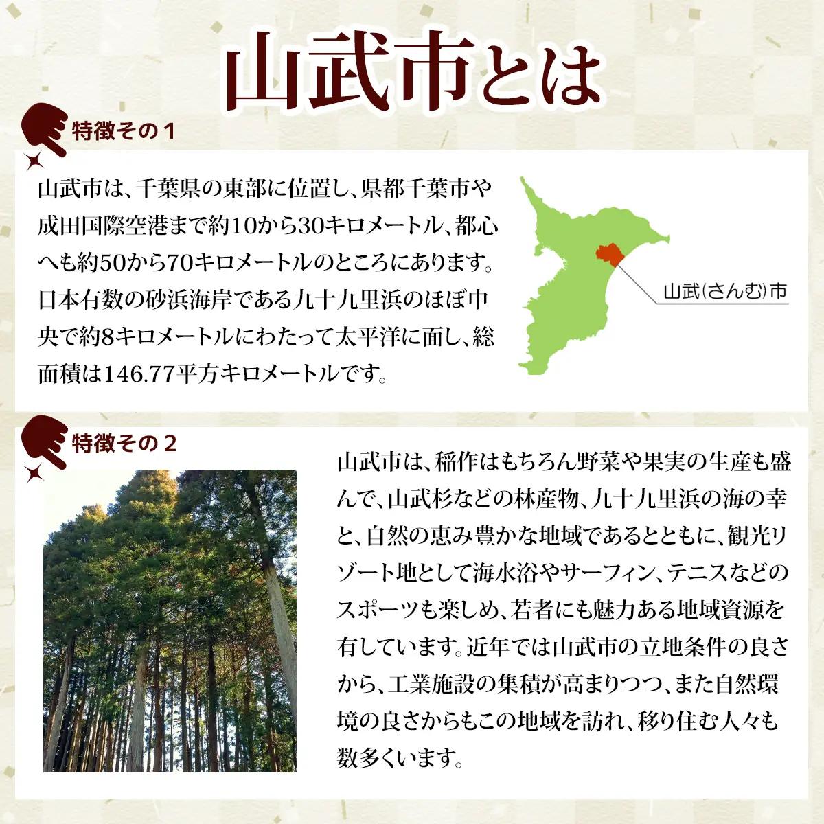 特別純米酒/花いちもんめ、本醸造原酒/しぼり酒・1800ml2本セット ／ふるさと納税 酒 お酒 日本酒 特別純米酒 本醸造原酒 1800ml 2本 セット 千葉県 山武市 SMG005