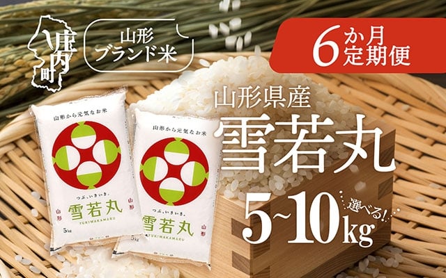 
                  ＜毎月中旬発送＞山形米6か月定期便！雪若丸 選べる配送開始月 内容量 5kg / 6kg / 10kg ブランド米 2025年産 精米 米 お米 白米 山形 庄内地方 庄内平野
                