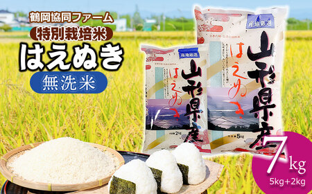 【令和7年産先行予約】 特別栽培米はえぬき 無洗米 7kg (5kg+2kg) 山形県鶴岡産　鶴岡協同ファーム