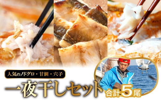 
しまねの贅沢三昧！のどぐろ・甘鯛・穴子一夜干し【のどぐろ干物 200～260g×2尾 甘鯛干物 326～350g×1尾 穴子干物 50cm前後×2尾 干物 無添加 真空パック 父の日 母の日】
