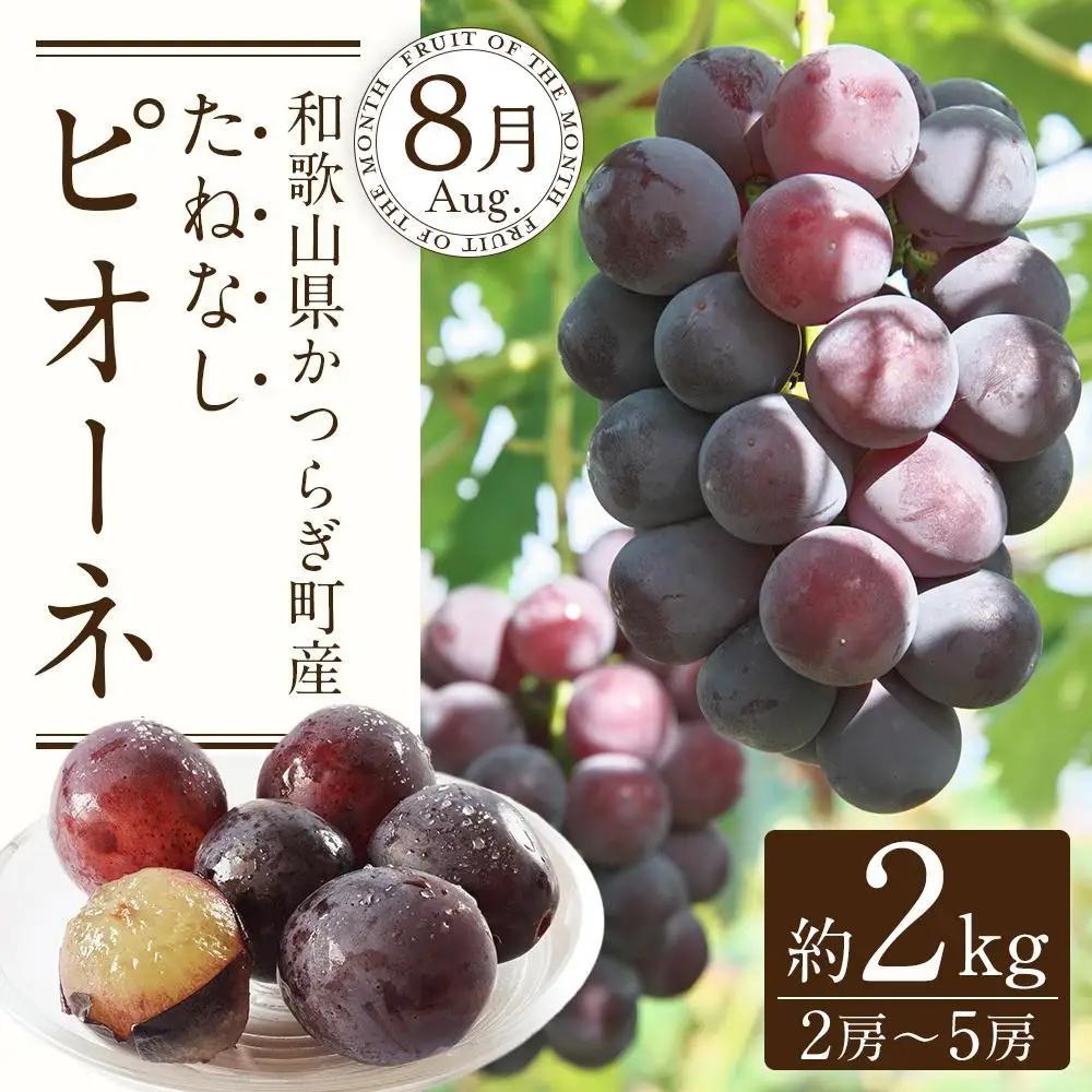 定期便全3回 【7月・8月・9月発送】 和歌山のフルーツをお届け　フルーツ