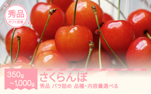 【先行予約】さくらんぼ 秀品 佐藤錦・紅秀峰・やまがた紅王 品種選べる 容量選べる L玉 2027年産 令和9年産 mm-sasyx