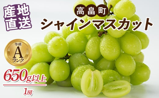 
            ≪2025年先行予約≫山形県 高畠町産 シャインマスカット 箱詰 650g 以上(1房) 2025年9月下旬頃から順次発送 ぶどう ブドウ 葡萄 マスカット 大粒 種なし 高級 くだもの 果物 フルーツ 秋果実 産地直送 農家直送 数量限定 贈答 ギフト F21B-124
          