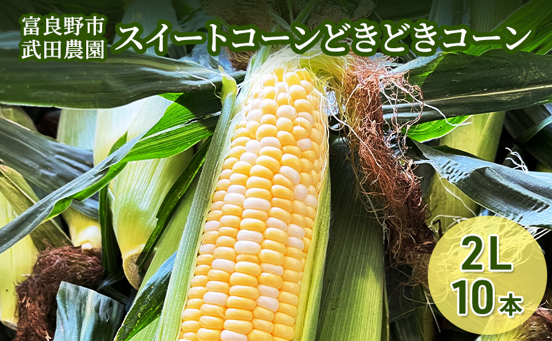 ［武田農園とれたて直送］スイートコーン どきどきコーン 2L 10本 北海道 富良野産 （ とうもろこし 野菜 新鮮 とうきび 甘い 産地直送 先行予約 限定 ）