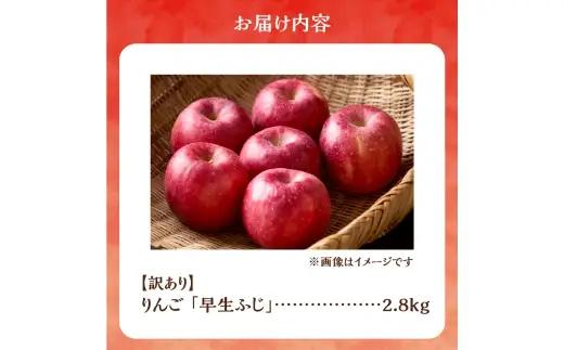 【先行予約：2026年10月中旬より発送】訳アリ りんご（早生ふじ）2.8kg【北海道余市町産】_Y103-0091