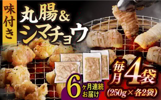 【全6回定期便】【塩だれ】九州産和牛 ホルモン 2種 計1kg（ シマチョウ 250g×2袋・ 丸腸 250g×2袋） 長与町/岩永ホルモン [EAX152] ホルモン焼き 国産 牛肉 ホルモン ミックス 小分け 味付き 冷凍 焼肉 焼き肉 和牛 塩 しお 牛 定期便 ていきびん 定期