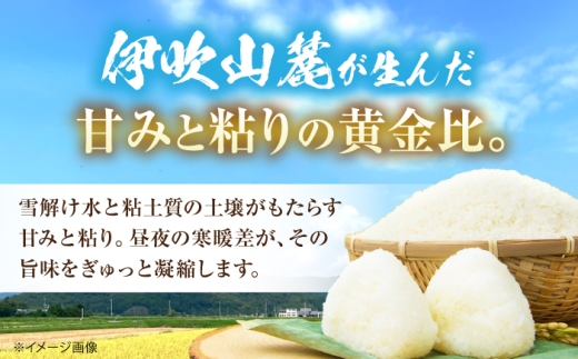 【全3回定期便】コシヒカリ 5kg 滋賀県長浜市/狩野農園 [AQDK005]