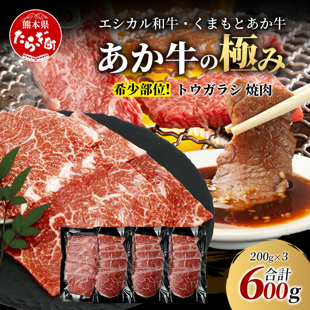 【ふるさと納税】《エシカル和牛》くまもとあか牛 希少部位 トウガラシ 焼肉 200g×3 (計 600g) 希少 赤身 カタ とうがらし 熊本 あか牛 牛肉 小分け 焼肉 バーベキュー 和牛 国産 SDGs ブランド 牛 熊本県産 熊本 冷凍 九州産 国産 送料無料
