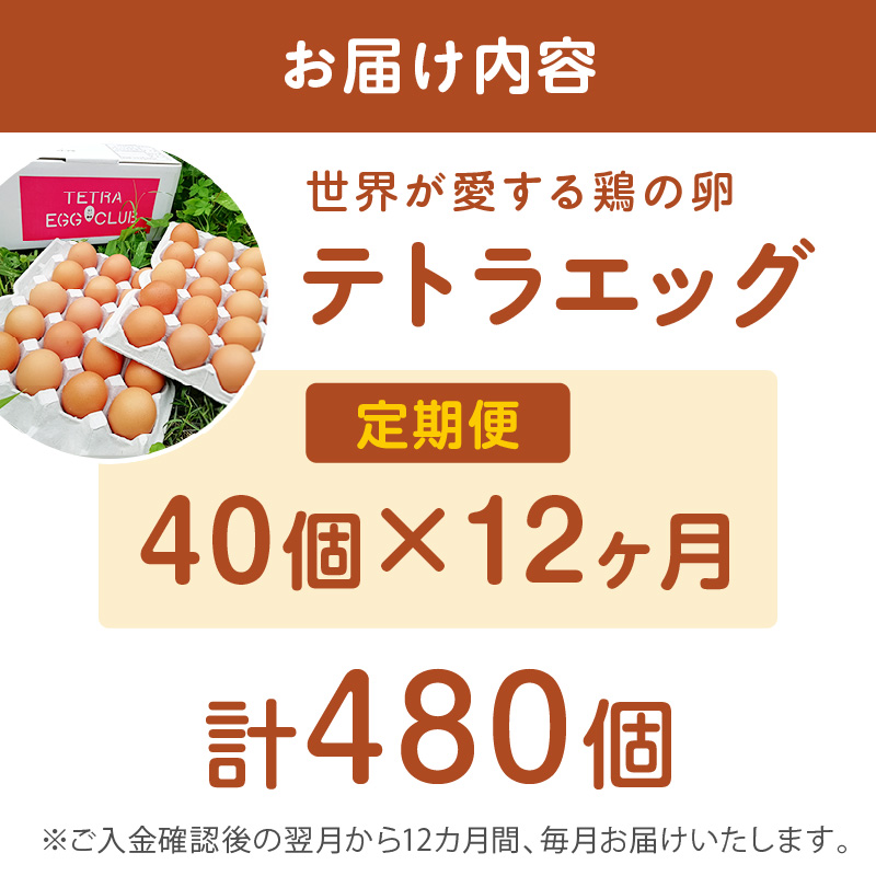 テトラエッグ(40個/月)【12ヵ月定期便】_イメージ5