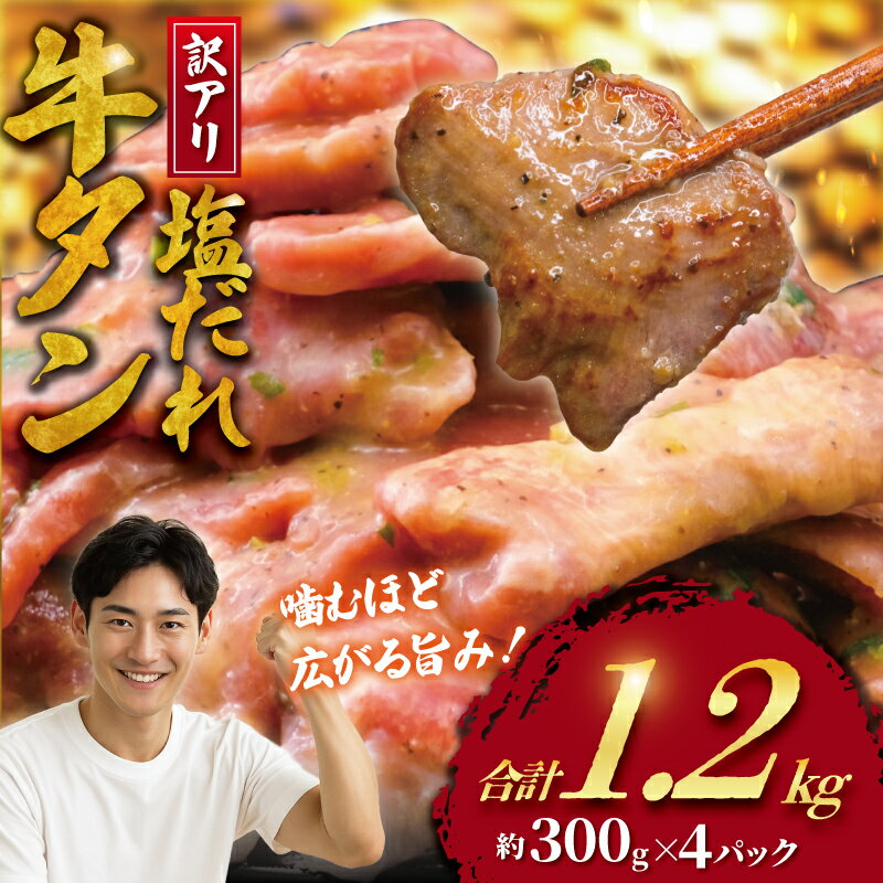 【ふるさと納税】 牛タン 訳あり 計 1.2kg 塩ダレ 300g × 4 パック 牛たん 牛 たん タン 牛肉 ぎゅうたん ギュウタン 切り落とし 塩 gyuutan 訳アリ 訳有 訳有り 訳あり品 ワケアリ 焼肉 牛肉 肉 お肉 冷凍食品 おかず 不揃い 冷凍 つまみ 味付き 焼き肉 神奈川 湘南 藤沢