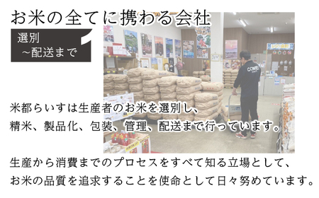 【先行予約】数量限定〈令和7年産〉福岡県産夢つくし10kg [MY002-1] 米都らいす【福岡県須恵町】米 新米