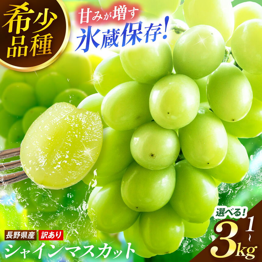 【ふるさと納税】【2027年1月末まで発送してます♪♪】選べる！訳あり シャインマスカット 約1kg～3kg (2～7房) 甘みが増す完熟 氷蔵保存 有機肥料栽培 | 果物 くだもの フルーツ 葡萄 ぶどう ブドウ シャインマスカット 長野県 塩尻市