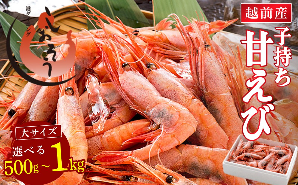 
                  福井県敦賀産 甘えび・子持ち 大サイズ 約500g / 1kg（約40～90尾）【塩荘 しおそう 敦賀 甘エビ えび エビ 海老 冷凍 急速冷凍 お中元 お歳暮 ギフト 贈り物 プレゼント】[053-a043(20)/053-a243(20)]
                