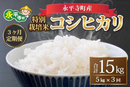 【先行予約】【3ヶ月連続お届け】【白米】令和6年度産 永平寺町産 農薬不使用・化学肥料不使用 特別栽培米 コシヒカリ 5kg×3ヶ月（計15kg）＊2025年1月20日前後以降発送開始予定】[E-033014]