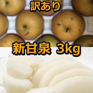 954.【先行予約】【訳あり】新甘泉 3kg　【梨・なし】≪梨 なし ナシ 果物 フルーツ くだもの 鳥取県北栄町≫※8月下旬頃～9月中旬頃に順次発送
