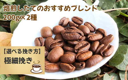 焙煎したてのおすすめブレンド 200g×2種（極細挽き） No.171-05
