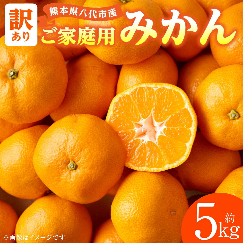 【ふるさと納税】【先行予約】【訳あり】熊本県八代市産 ご家庭用みかん 約5kg家庭用 蜜柑 ミカン 柑橘 くだもの 果物 デザート おやつ 熊本県 八代市 送料無料 【2026年9月下旬より順次発送】