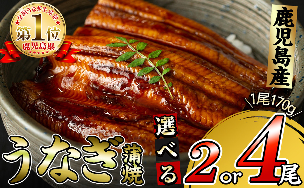 
【尾数が選べる！】鹿児島県大隅産 くすだ屋の極上うなぎ(170g／2尾or4尾)
