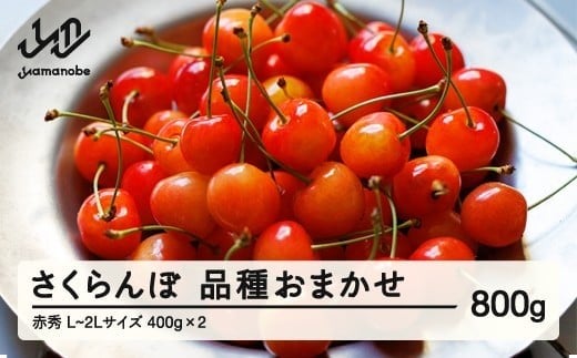 先行予約 さくらんぼ 品種おまかせ 赤秀品 ご家庭用 L-2L玉 400g×2 2026年産 令和8年産 山形県産 mm-saoax800