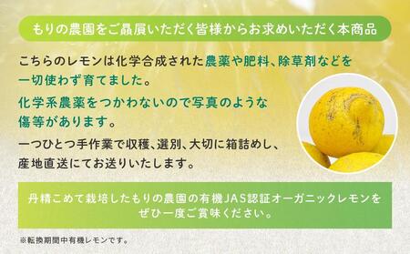 【有機JAS認証】『訳あり』レモン島からお贈りするオーガニックレモン 5kg 有機レモン 2025年2月以降発送予定 産直 国産 有機栽培