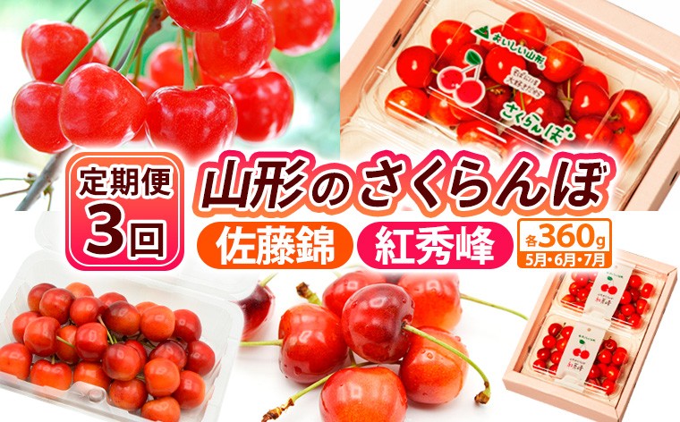 
                  【定期便3回】山形のさくらんぼ 佐藤錦・紅秀峰 各360g×3回[5月・6月・7月] 【令和9年産先行予約】FS25-007
                