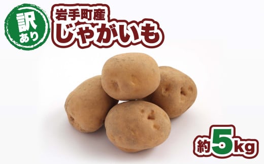 【訳アリ】岩手町産の旬野菜（じゃがいも）約5㎏ ジャガイモ 男爵いも メークイン 北あかり 品種 ランダム お任せ ポテト 芋 イモ いも 訳あり 家庭用 規格外 不揃い 産地直送 送料無料 岩手県 岩手町
