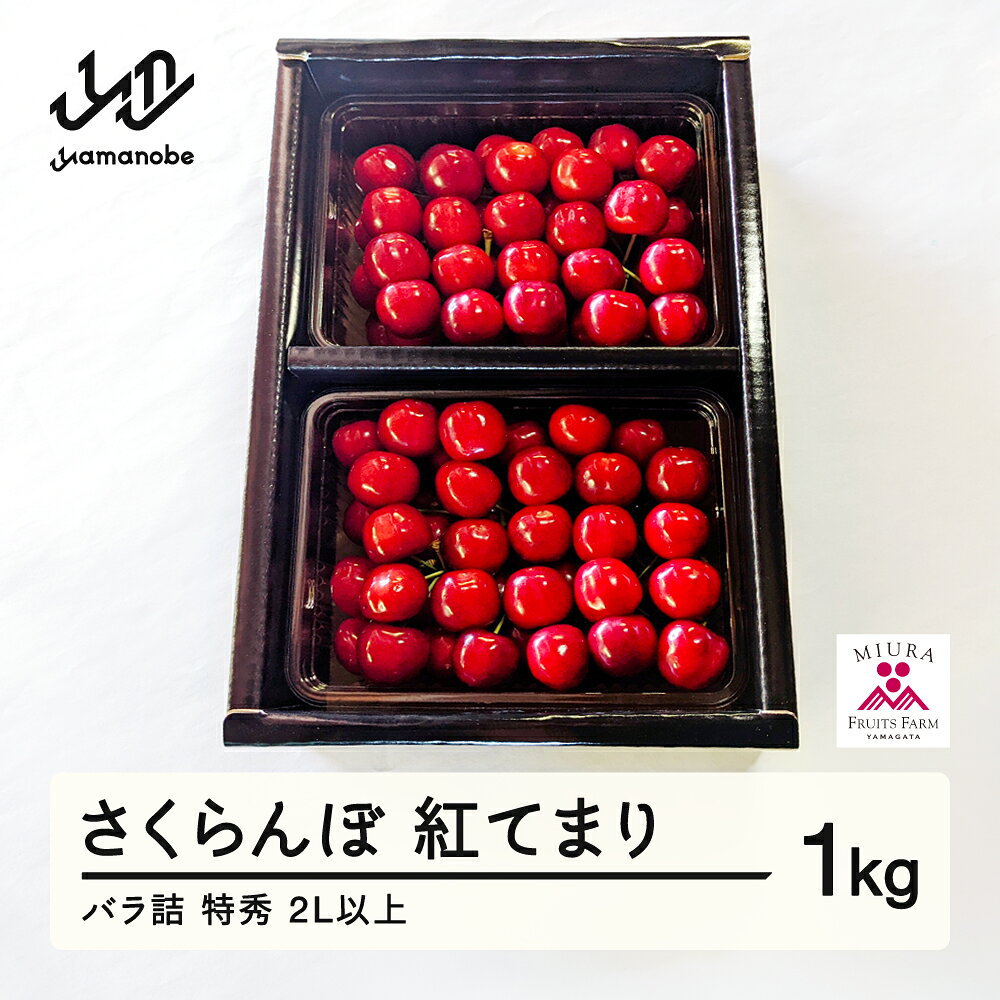 【ふるさと納税】《先行予約》2027年 山形県産さくらんぼ 紅てまり バラ詰1kg 特秀2L以上 送料無料 F20A-901 ※沖縄・離島への配送不可