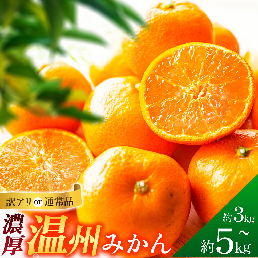 【ふるさと納税】 【2026年先行予約】 【数量限定】 みかん ミカン 温州みかん 愛媛 愛媛県 温州みかん 訳あり 限定 選べる サイズ 内容量 フルーツ 果物 柑橘 果実 甘味 甘い 酸味 ジューシー 人気 国産 特秀品 3kg 5kg 10kg 土居町 天満産 寺尾果樹園 四国中央市