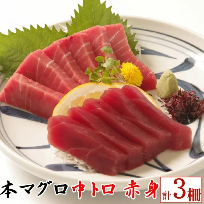 天然本マグロ 中トロ 赤身 マグロセット eb015 FN-Limited-PR