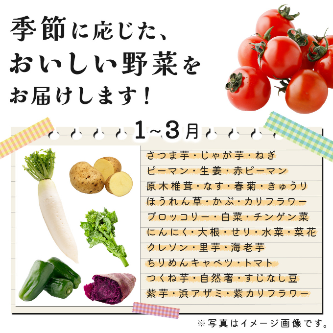 お味噌と野菜８品セット_イメージ2