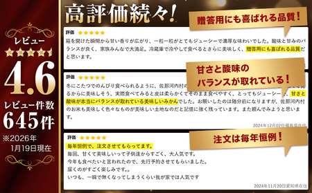 蔵出しみかん 極 熟成 1箱 みかん