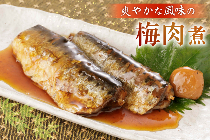 訳あり 業務用 いわし煮魚 3種 ×10尾 計30尾入 約1.5kg 簡易包装 [カネダイ 宮城県 気仙沼市 20565562] 魚 魚介 煮魚 国産 生姜煮 梅肉煮 みぞれ煮 おかず 焼き魚 簡単 