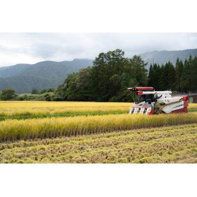 ふるさと納税 白馬村 【令和6年産】『白馬そだち』長野県白馬村産　お米　ミルキークイーン10kg(精米) |  | 02