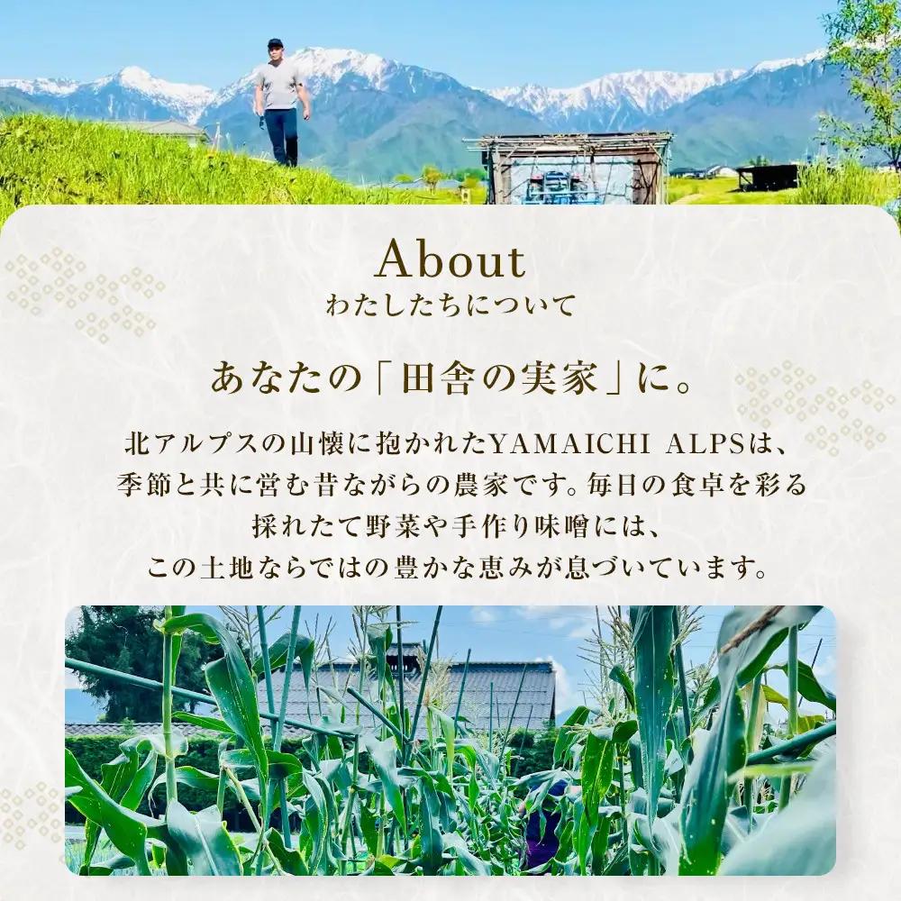 【保存料不使用】米麹(1kg)・生甘酒(450ml)・塩麹(450ml)　お試しセット | 調味料 長野 信州