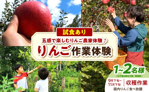 りんご 作業体験（収穫・9月下旬～11月下旬） 体験型 返礼品 農業 大人2名まで 子どもも一緒に！【トキあっぷる社】青森県 五所川原市 体験型返礼品 収獲体験 収穫 摘果 葉取り 枝切り