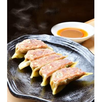 ふるさと納税 三郷市 【国産食材使用】横堀餃子3種詰め合わせ　計55ヶ |  | 02
