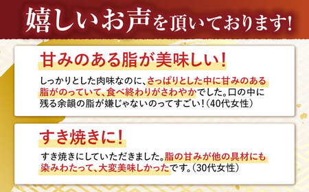【6回定期便】ロース スライス 400g / 長崎和牛 A5ランク しゃぶしゃぶ すき焼き / 諫早市 / 野中精肉店 [AHCW043]