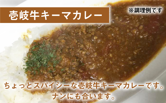 【全2回定期便】壱岐牛キーマカレー 10個《壱岐市》【壱岐味噌工房】黒毛和牛 ブランド牛 九州 カレー 牛肉 [JBW037]