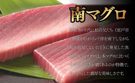 【３回定期便】天然南マグロ　中トロ　１柵　解凍書付 海鮮 魚介 鮪 惣菜 冷凍 ミナミマグロ お刺し身 刺身 寿司 海鮮丼 eb019