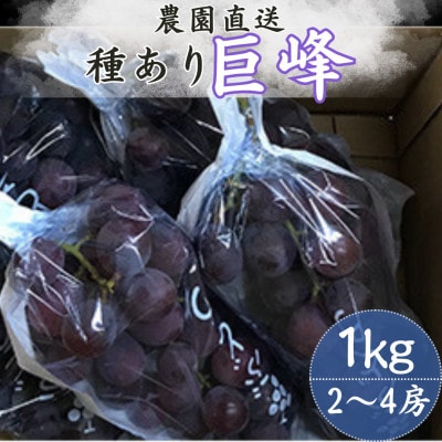 巨峰(種あり) 約1kg(2～4房)【配送不可地域：離島】