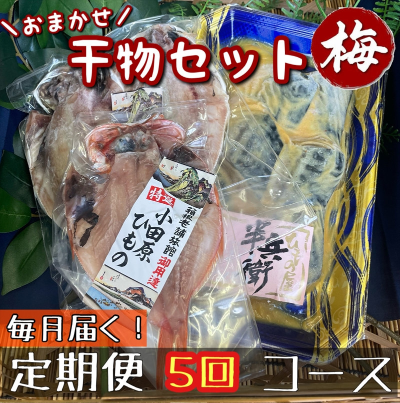 【毎月定期便5回】厳選！小田原の旬の干物セット 梅【 まぐろや 神奈川県小田原市 】 142069_DQ275