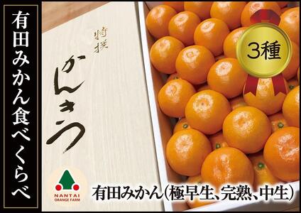 定期便 有田みかん 食べくらべ 3種 化粧箱 各約 3kg 南泰園 全3回 2024年 10月 発送開始