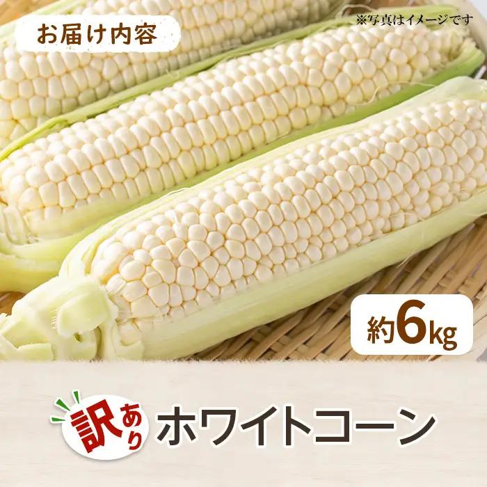 ＜先行予約！2026年6月上旬以降順次発送予定＞＜訳あり＞ホワイトコーン(約6kg) 香川県 国産 とうもろこし トウモロコシ 新鮮 冷蔵便 【man109-B】【Aglio nero】
