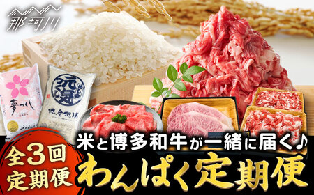 【全3回定期便】米と博多和牛が同じ月に届く♪わんぱく定期便 那珂川市  博多和牛 和牛 米 白米 ご飯 ブランド米 しゃぶしゃぶ すき焼き サーロイン ステーキ 切り落とし 定期便  [GZZ005]124000 124000円