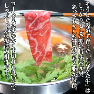 牧場直送！ お米で育てた むなかた牛 ロース 800g すき焼き しゃぶしゃぶ【すすき牧場】_HA1501